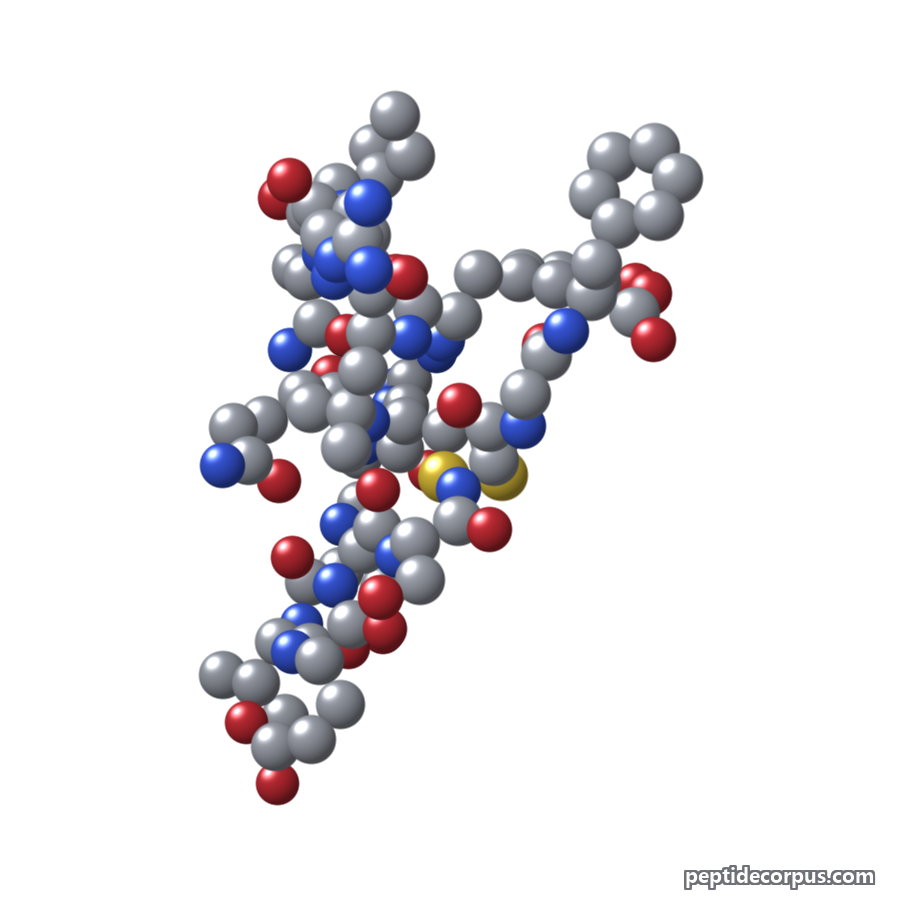Space-filling 3D model of AOD-9604, carbon grey, nitrogen blue, oxygen red
