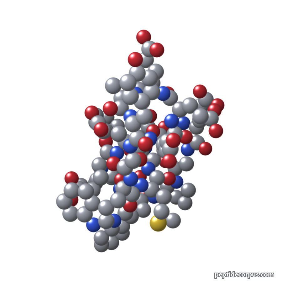 Space-filling 3D model of Gastrin, carbon grey, nitrogen blue, oxygen red