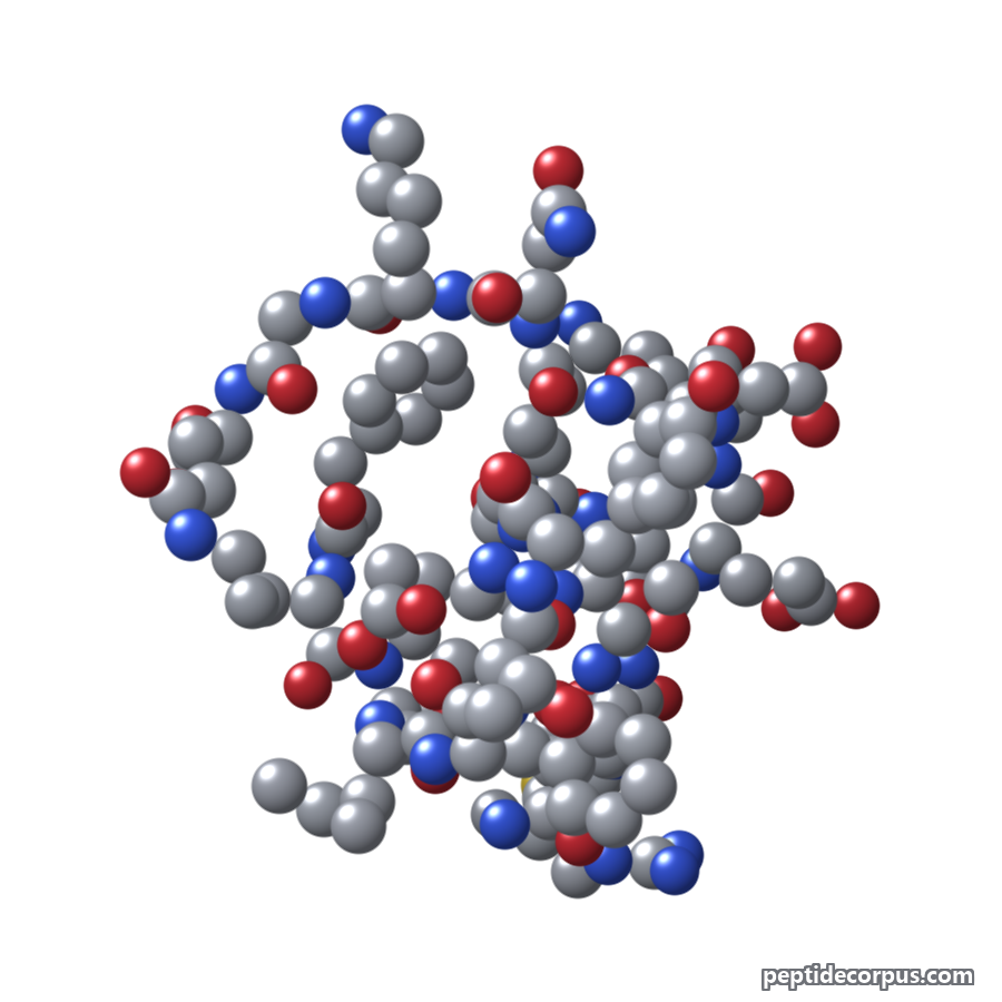 Space-filling 3D model of Motilin, carbon grey, nitrogen blue, oxygen red