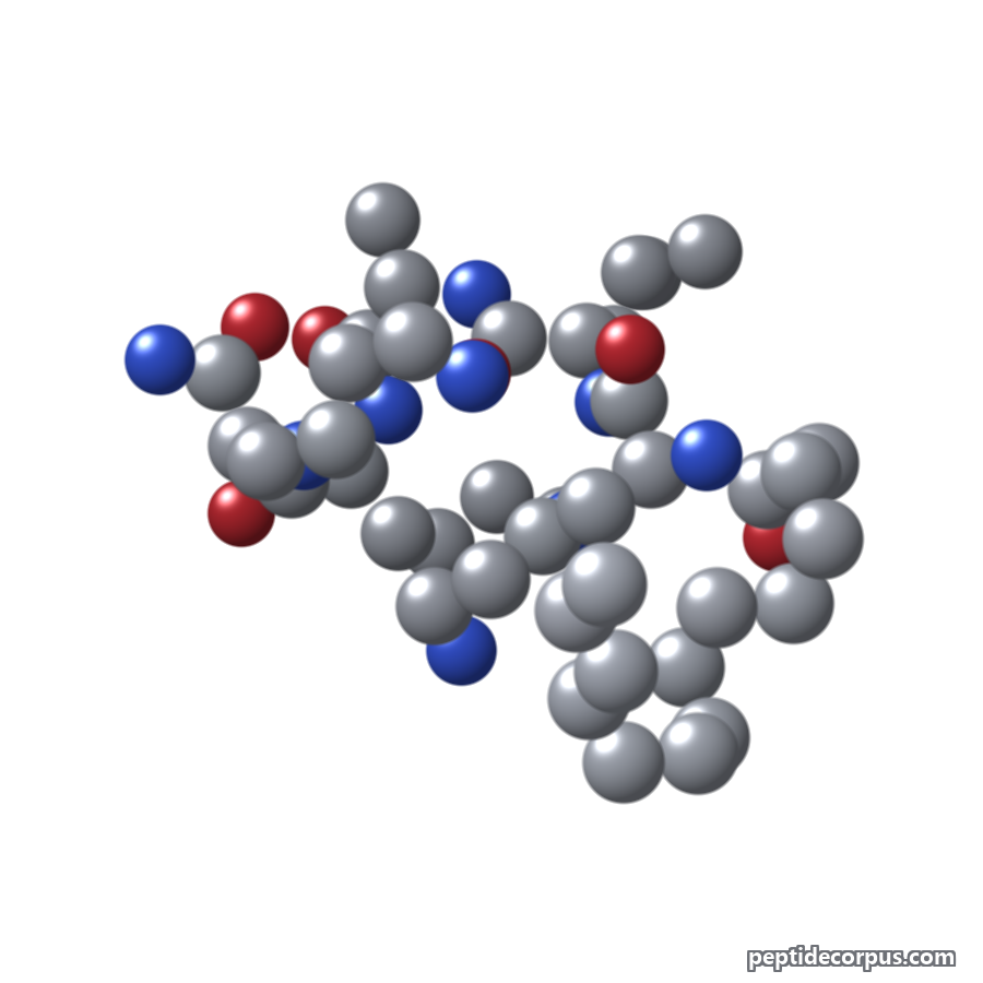 Space-filling 3D model of Myristoyl Pentapeptide-17, carbon grey, nitrogen blue, oxygen red