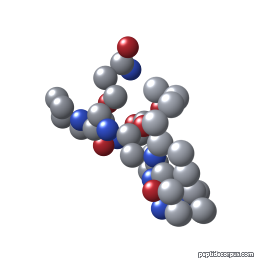Space-filling 3D model of Palmitoyl Tetrapeptide-7, carbon grey, nitrogen blue, oxygen red