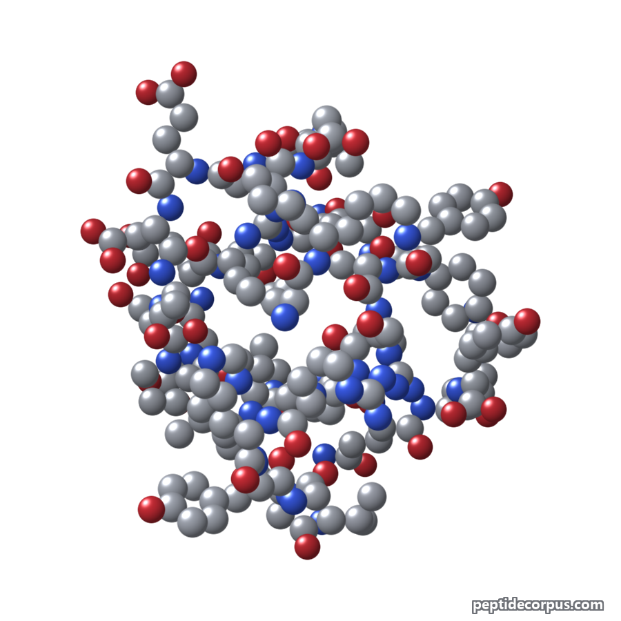 Space-filling 3D model of PYY3-36, carbon grey, nitrogen blue, oxygen red